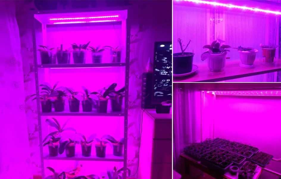 Фіто LED стрічка для рослин з USB