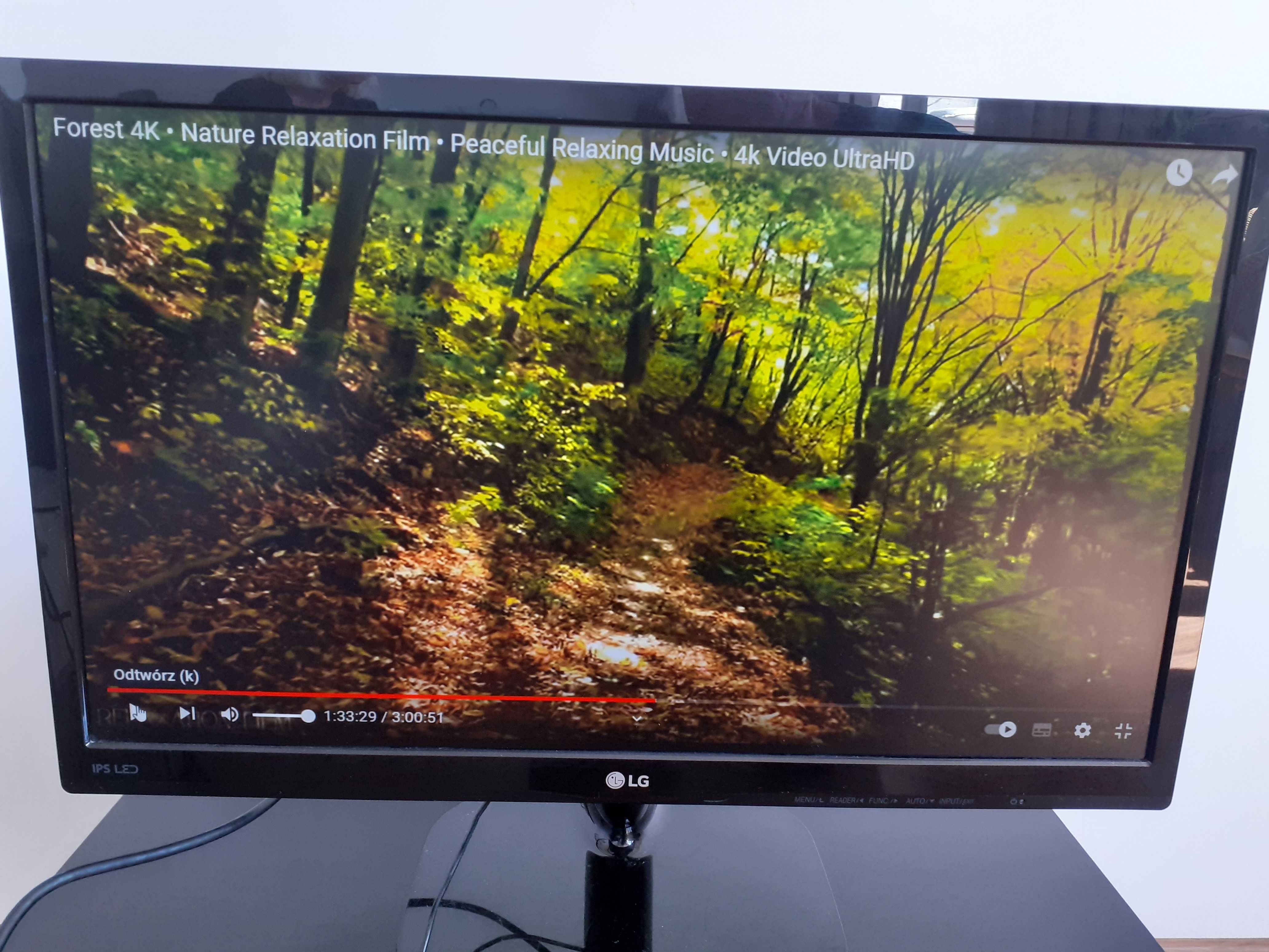 Monitor LG 22MP 48 D