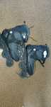 Rolki OXELO FIT100 (DECATHLON) r. 43/46
