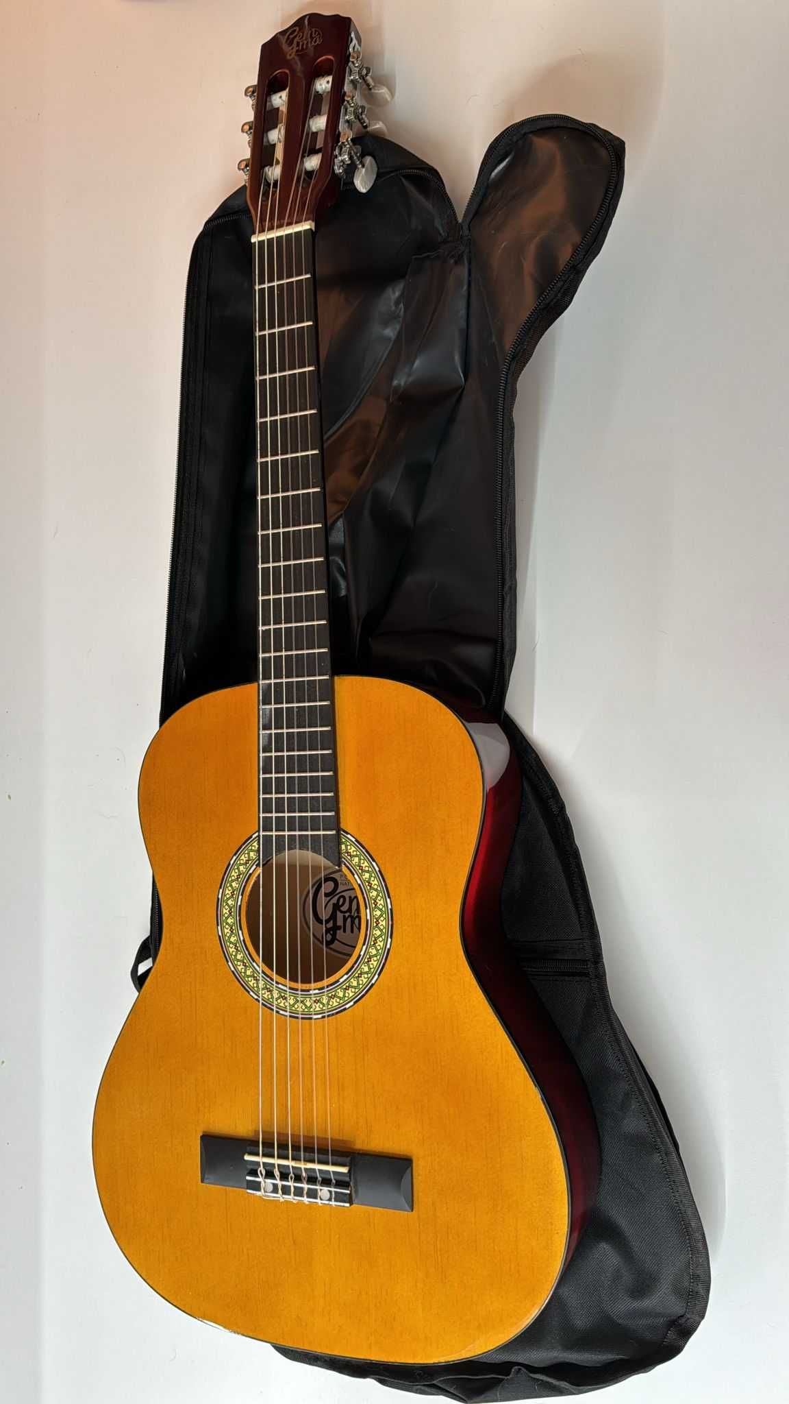 Guitarra Acústica - Som Encantador para Todas as Ocasiões!