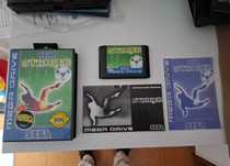 Striker (Sega Mega Drive)