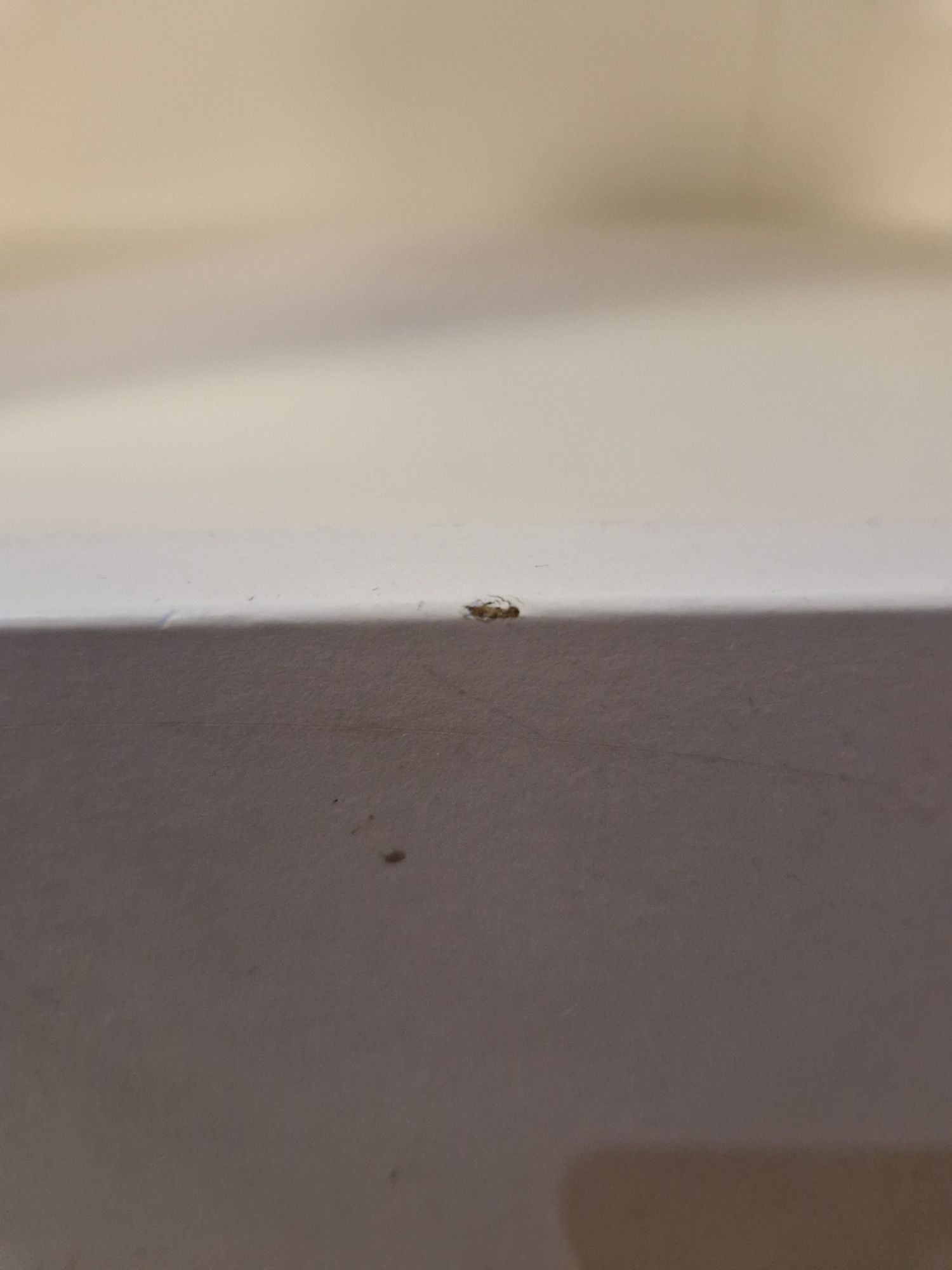 Ikea BERGIG regał szafka dla dzieci