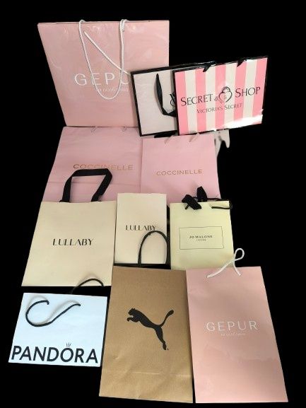 Брендовые пакеты Gucci CHANEL Hermes Lasoste