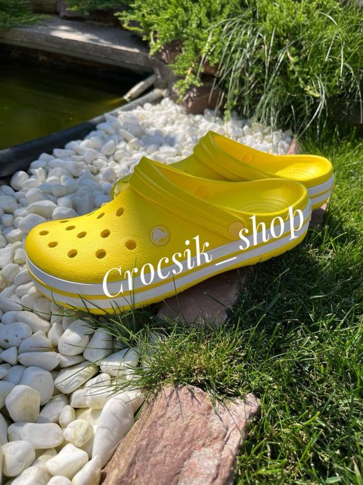 Жіночі крокси сабо в кольорах crocs Crocband