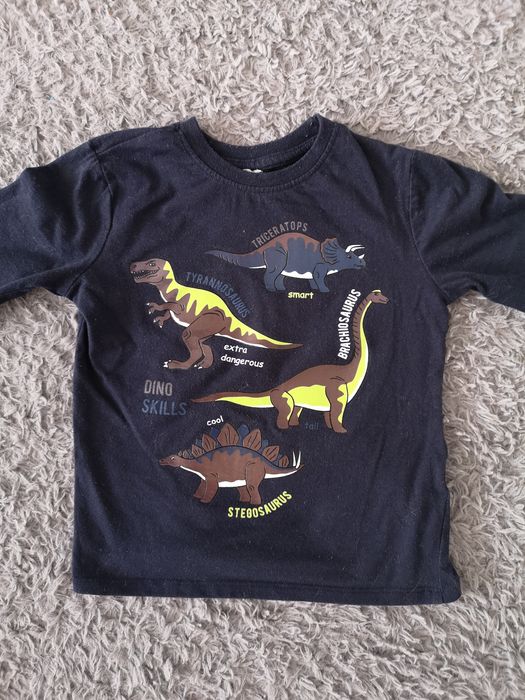 Bluzka dinozaury rozmiar 104