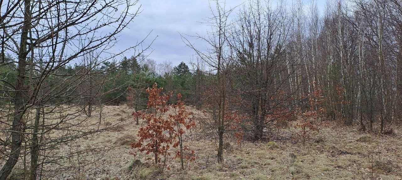 Продаж ділянки с/г в селі Широка Гребля