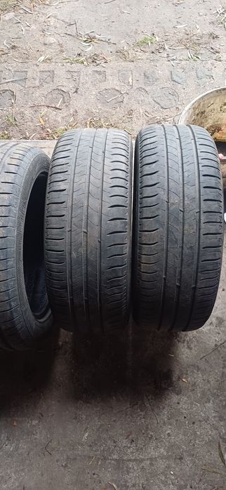 Opony 195/55 16 lato Michelin i Vredrestein