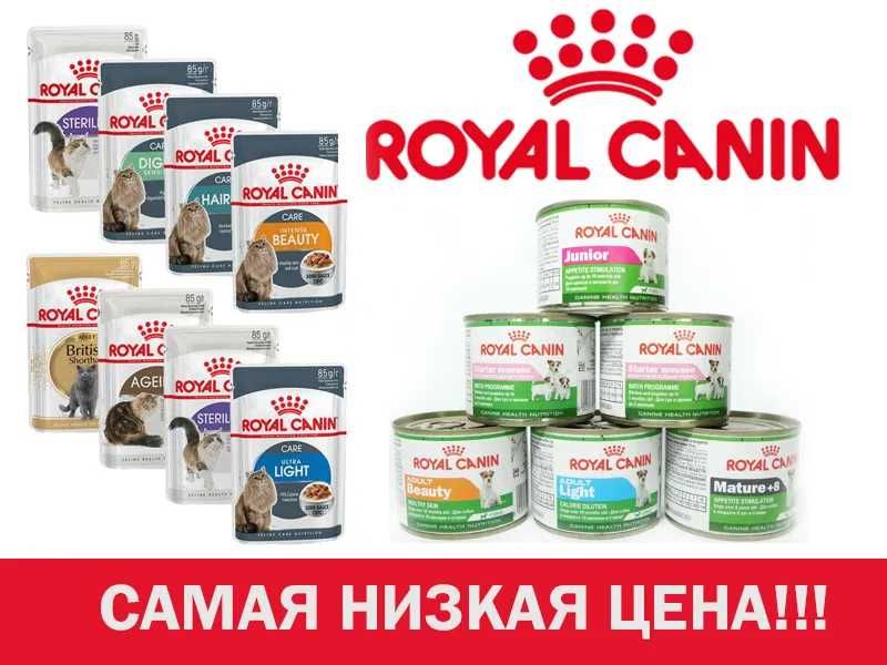 ROYAL CANIN (Роял Канин) Консервы и паучи - корм для кошек и собак
