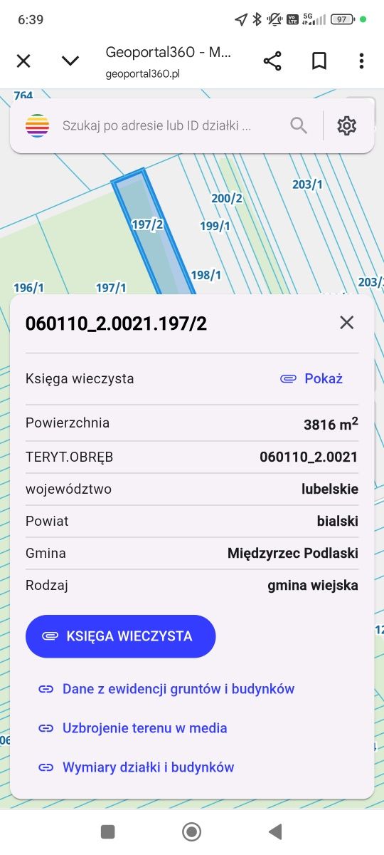 Działka leśna, las brzozowy 45 ar