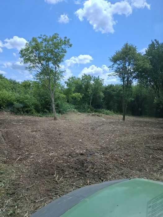 Czyszczenie dzialek mulczowanie wycinka drzew usuwanie pni rekultywacj