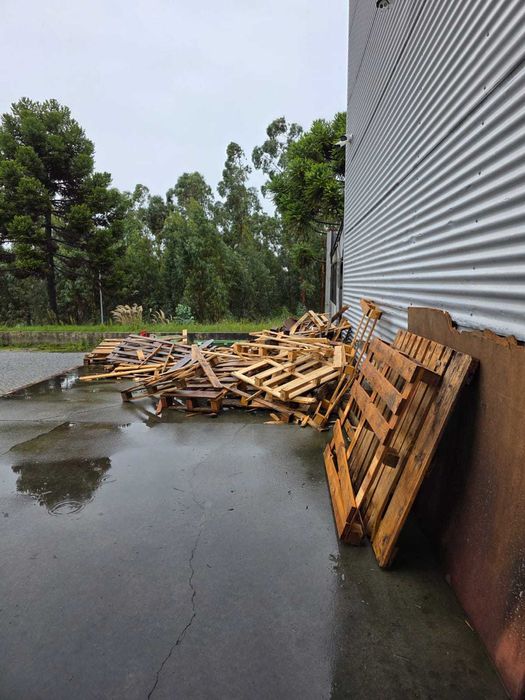 Paletes Madeira para reconstruir
