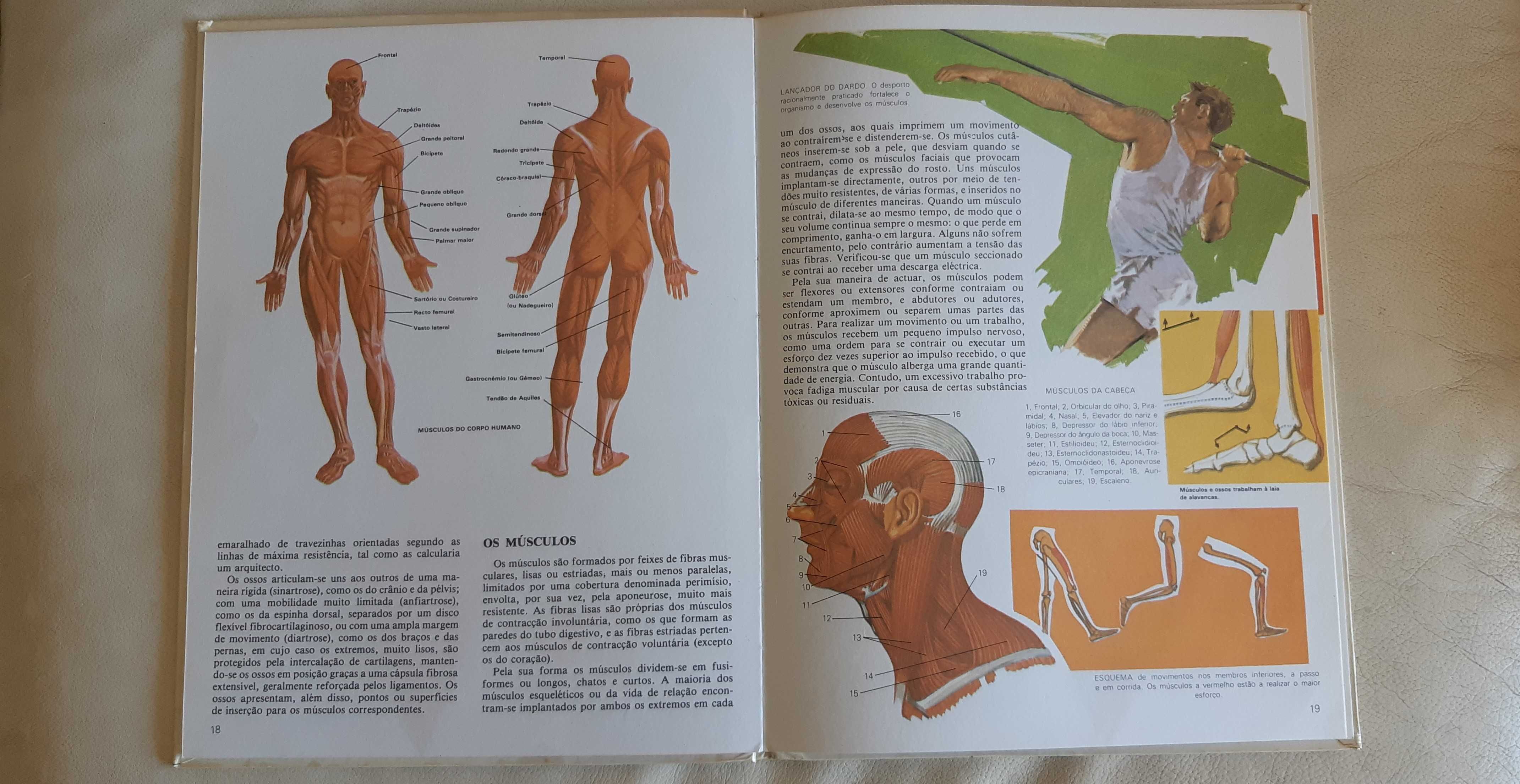 11 enciclopedias tematicas - capa dura - Ed. Civilizacao