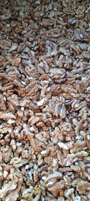 Orzechy włoskie tegoroczne z przydomowego ogrodu ekologiczne