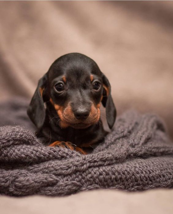 Крутезні малюки.