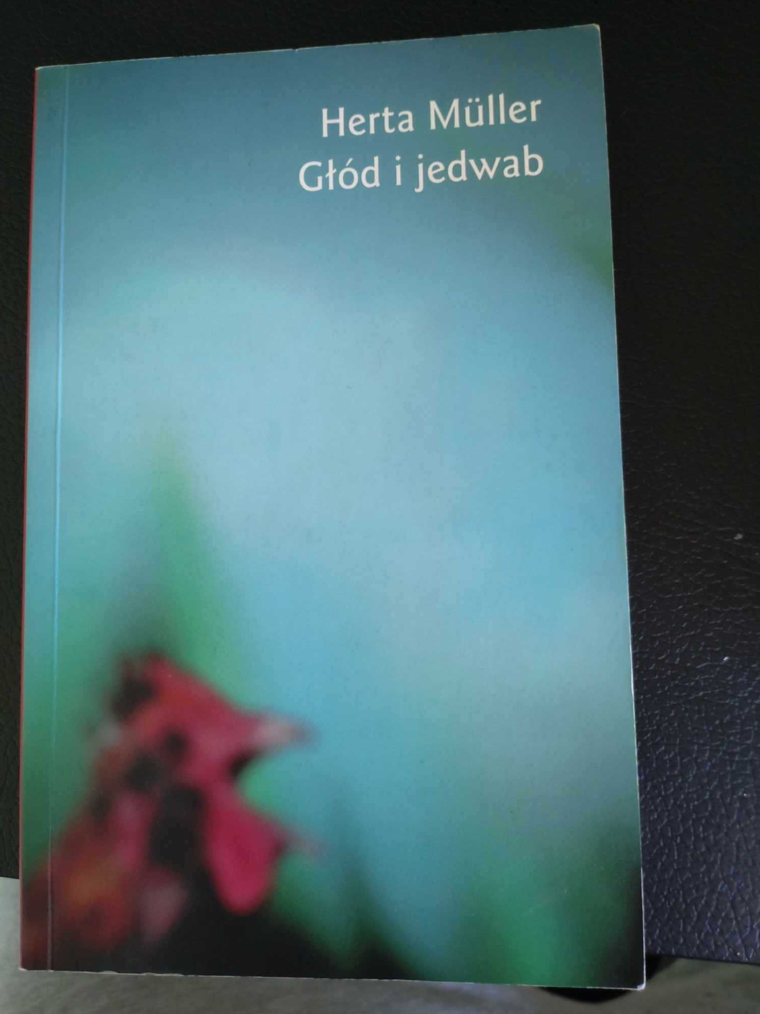Książka Głód i jedwab Herta Muller