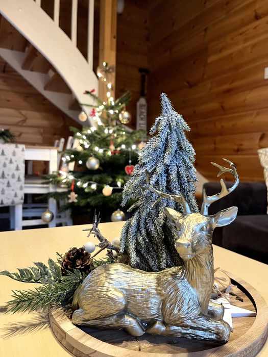 BOŻE NARODZENIE / SYLWESTER Domek nad morzem do wynajęcia Sarbinowo