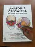 Anatomia do kolorowania