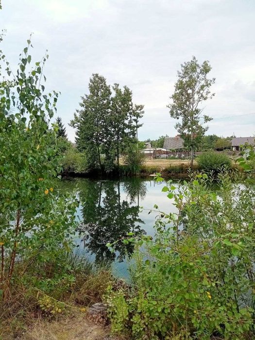 Продається дача в Черніїві,Івано-франківська обл.