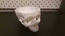 Czaszka ludzka anatomiczna druk 3d na studia medyczne