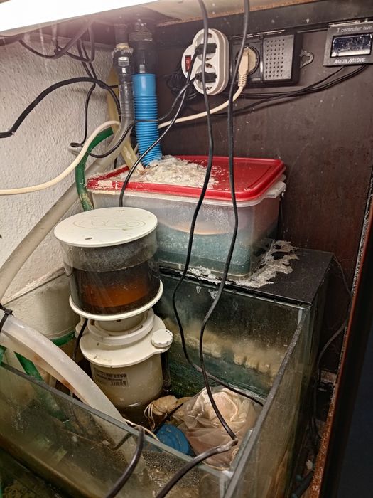 Aquários água salgada