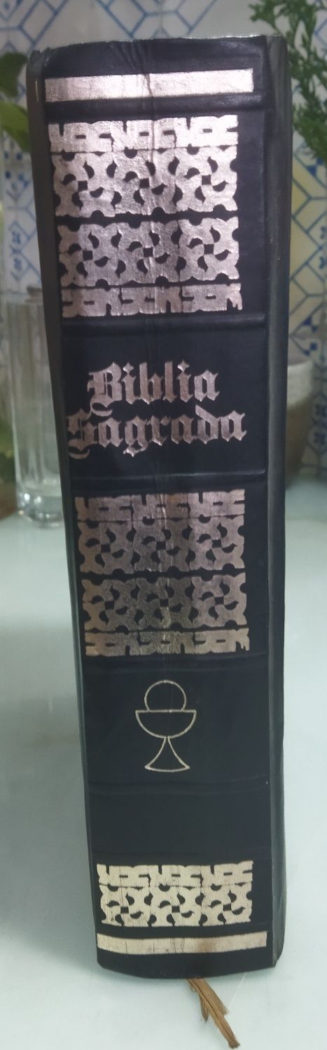 Biblia Sagrada livro da família