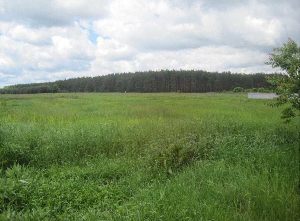 ‼️ Верхоли ‼️ Власник. Земельна ділянка під забудову. Комунікаціі