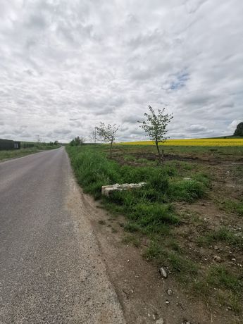 Atrajcyjna działka budowlana w bezpośrednim sąsiedztwie Świdnicy Wałbr