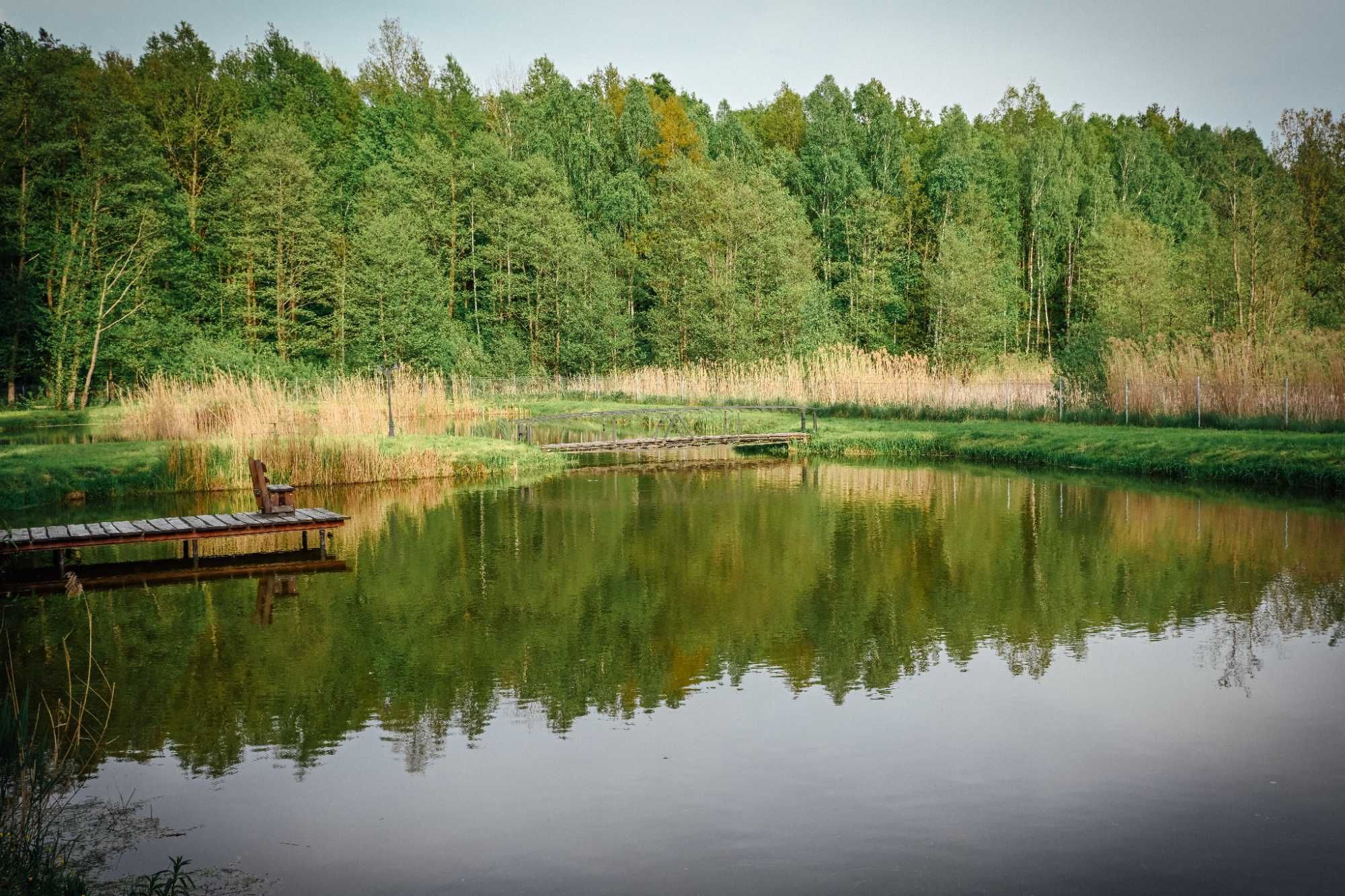 Majówka Nocleg  Domek letniskowy w Kujankach ,,  Złotów   SZWED-POL