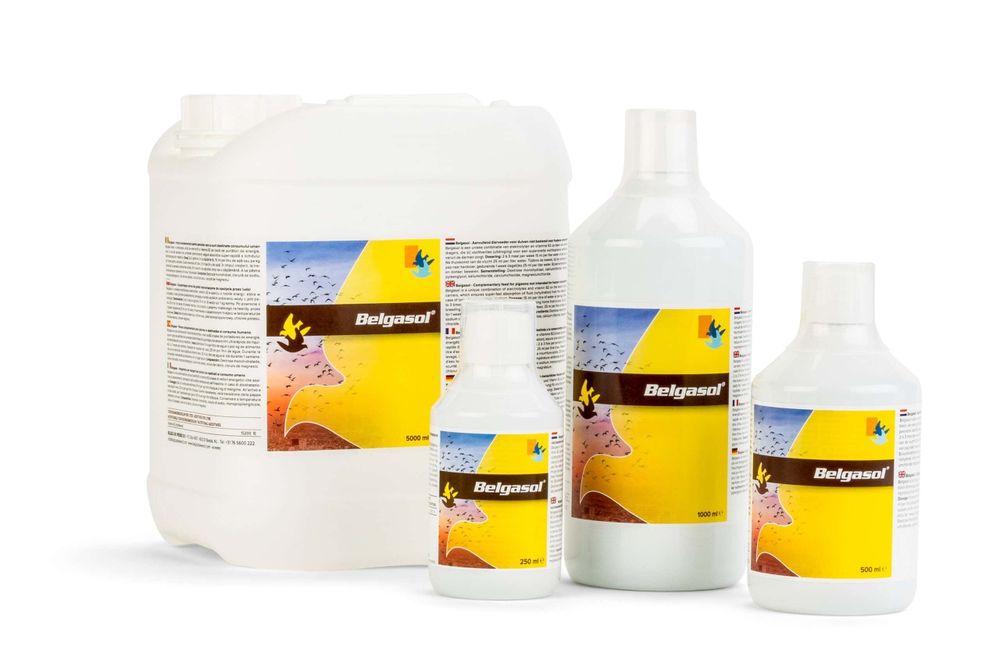 BELGICA DE WEERD Belgasol  5L elektrolity witaminy z grupy B
Belgaso
