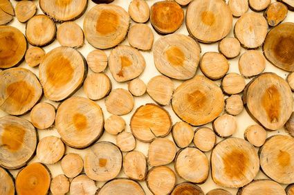 Dąb plastry drewna na taras ścieżka chodnik Dębowe