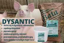 Dysantic 10kg - zwalczanie BIEGUNEK_DYZENTERII u trzody ,świń
