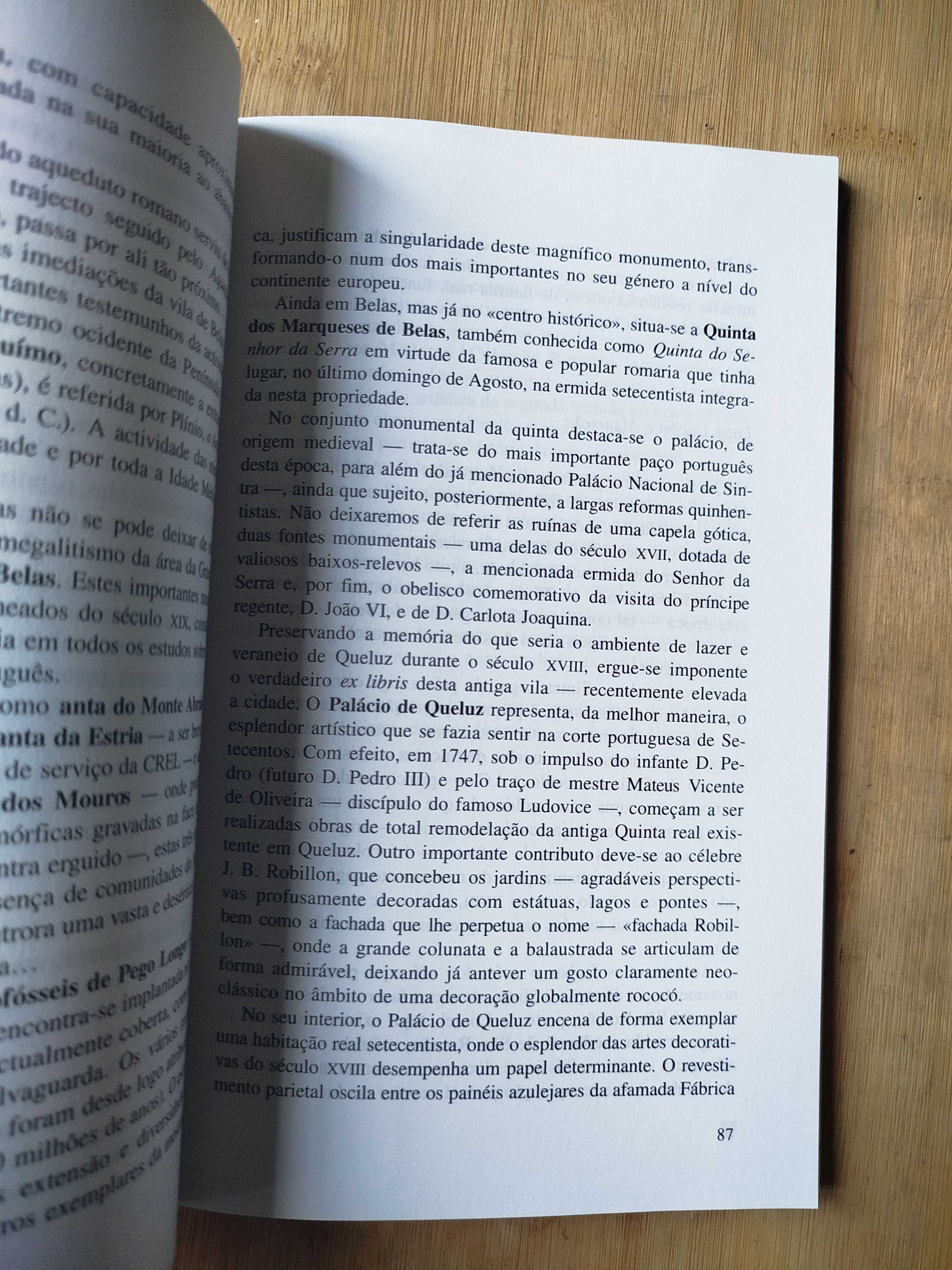 Sintra, nossa terra nossa gente de Edite Estrela