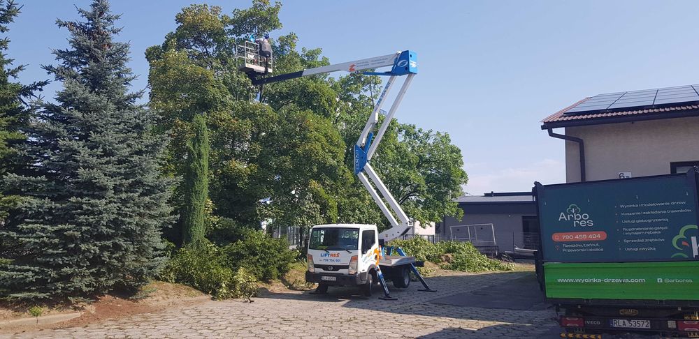 Wycinka drzew i krzewów, frezowanie pni, mulczer