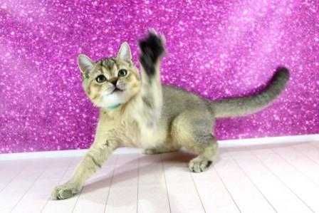 Чудова малеча-хлопчик