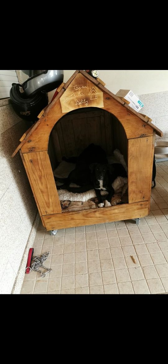 Casota para cão em madeira