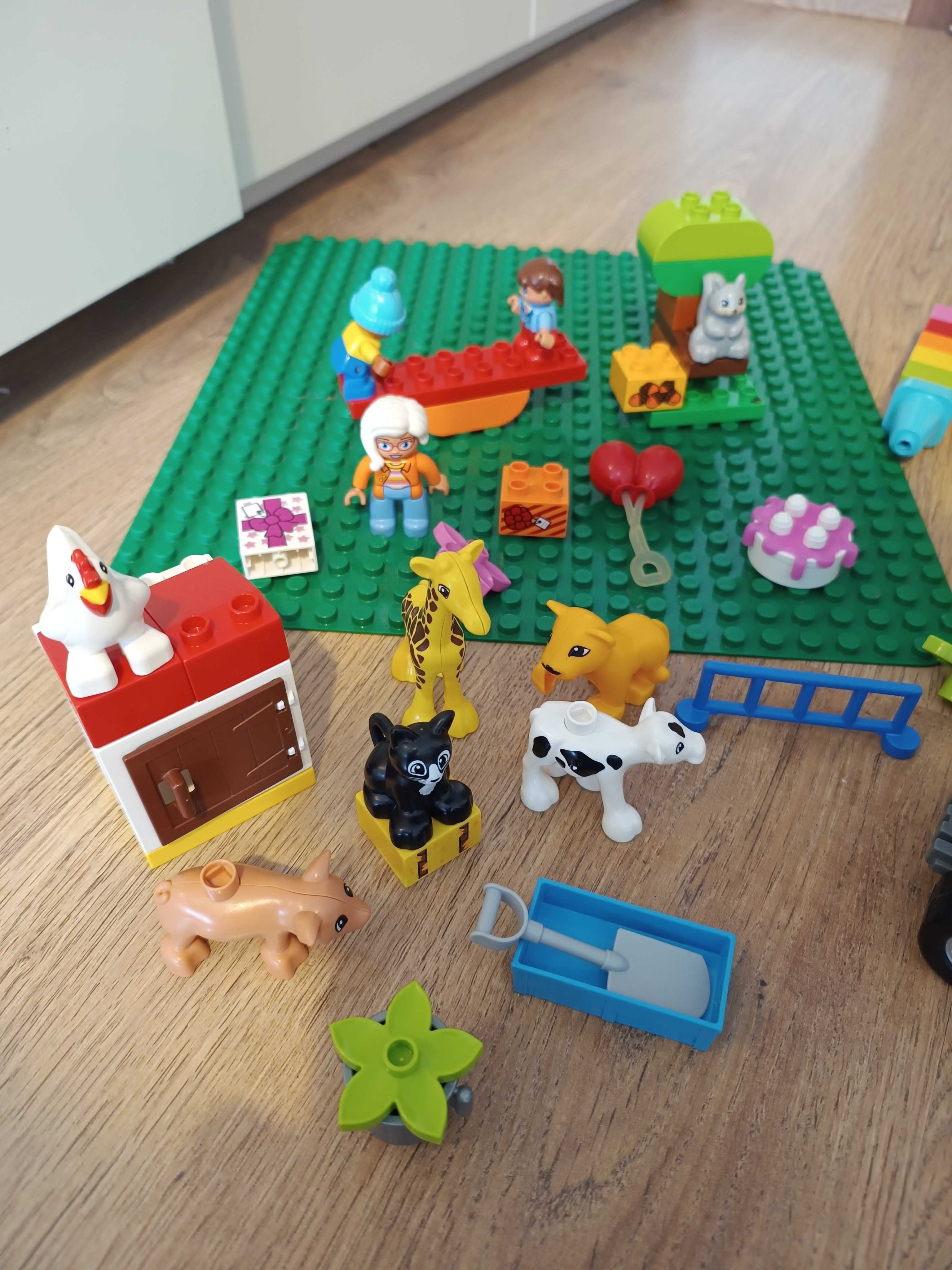 Duży zestaw LEGO Duplo zwierzęta płytka traktor