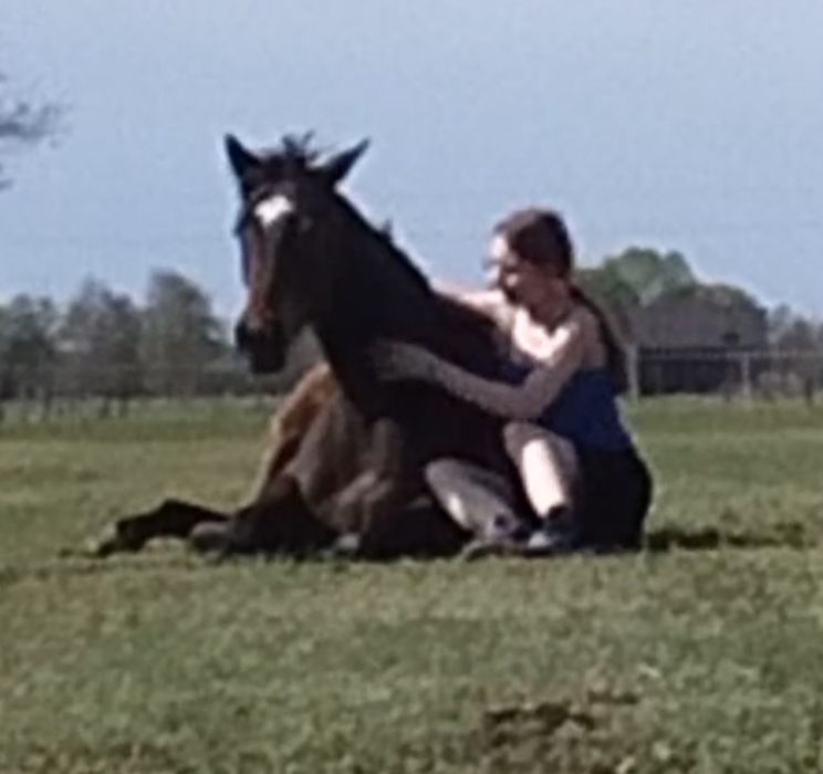 Młoda klaczka z sercem