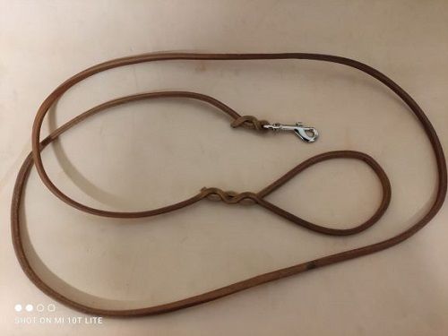 otok dla psa, rzemień