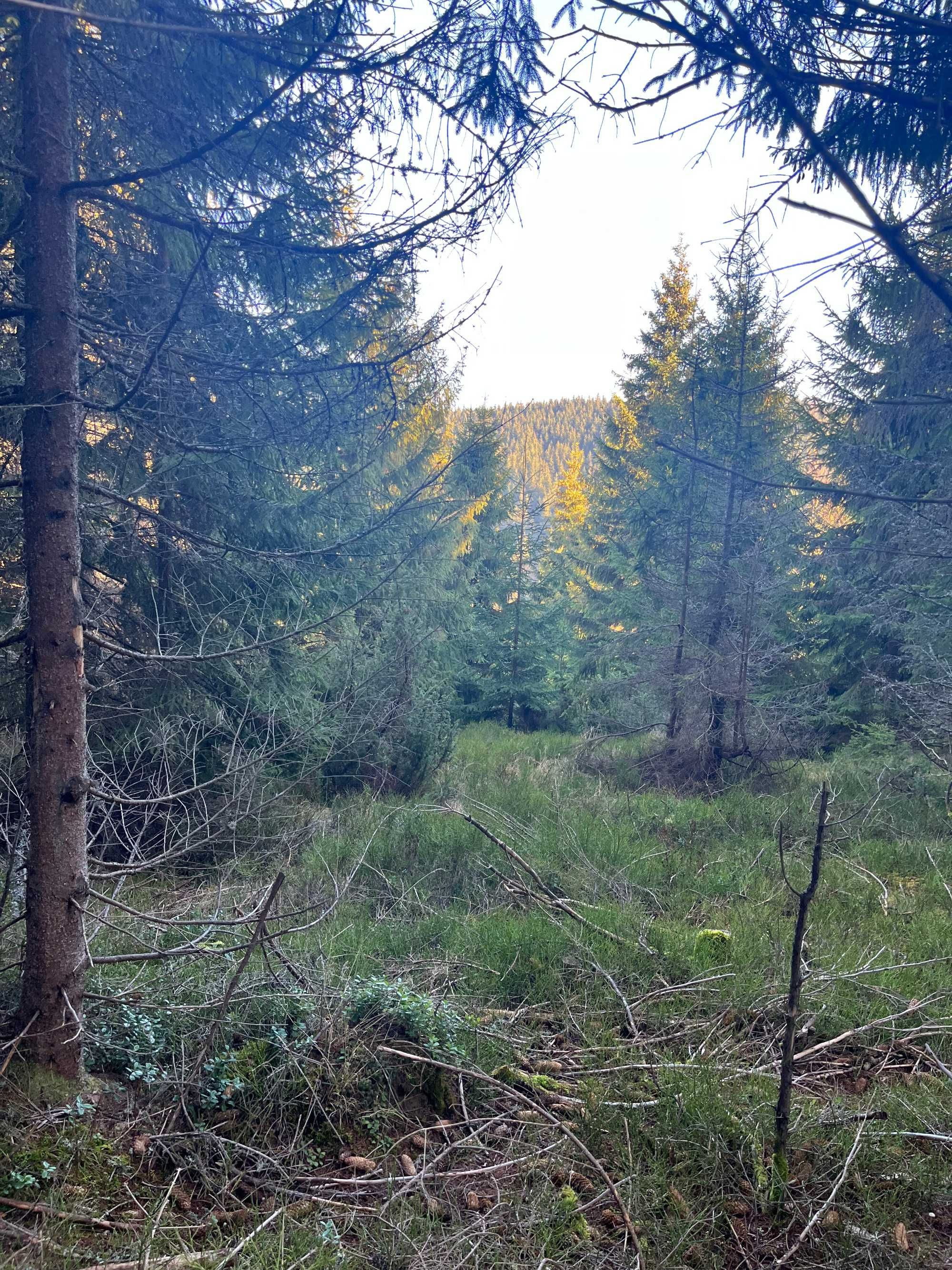 Продається земельна ділянка під будівництво в с.Вишків