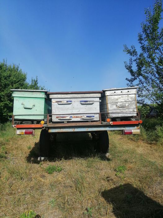 Продам два причіпи для пасіки