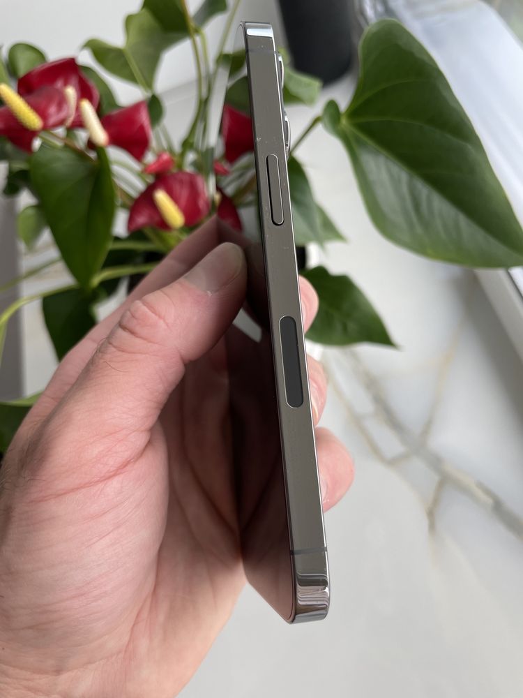 Apple iPhone 13 Pro Graphite 256 Gb Never Lock