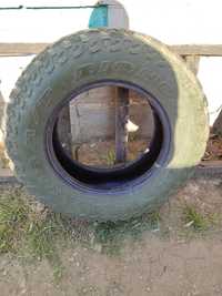 Шини Bighorn 764 maxxis