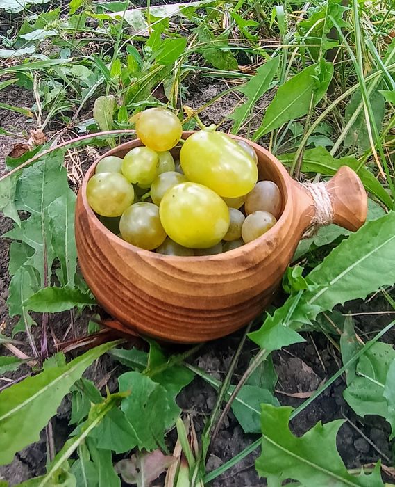 Кукса для бушкрафту