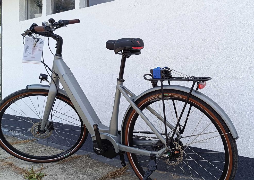 Rower Elektryczny Grecos Eli 2.3 BOSCH ACTIVE LINE PLUS Shimano Nexus