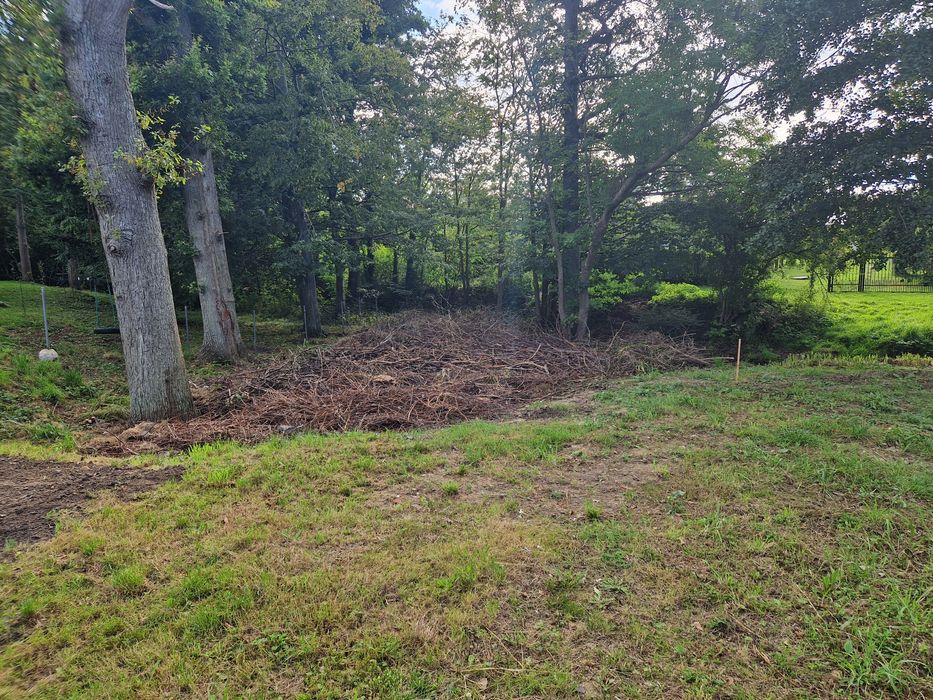 Dąb w klocu tartaczny