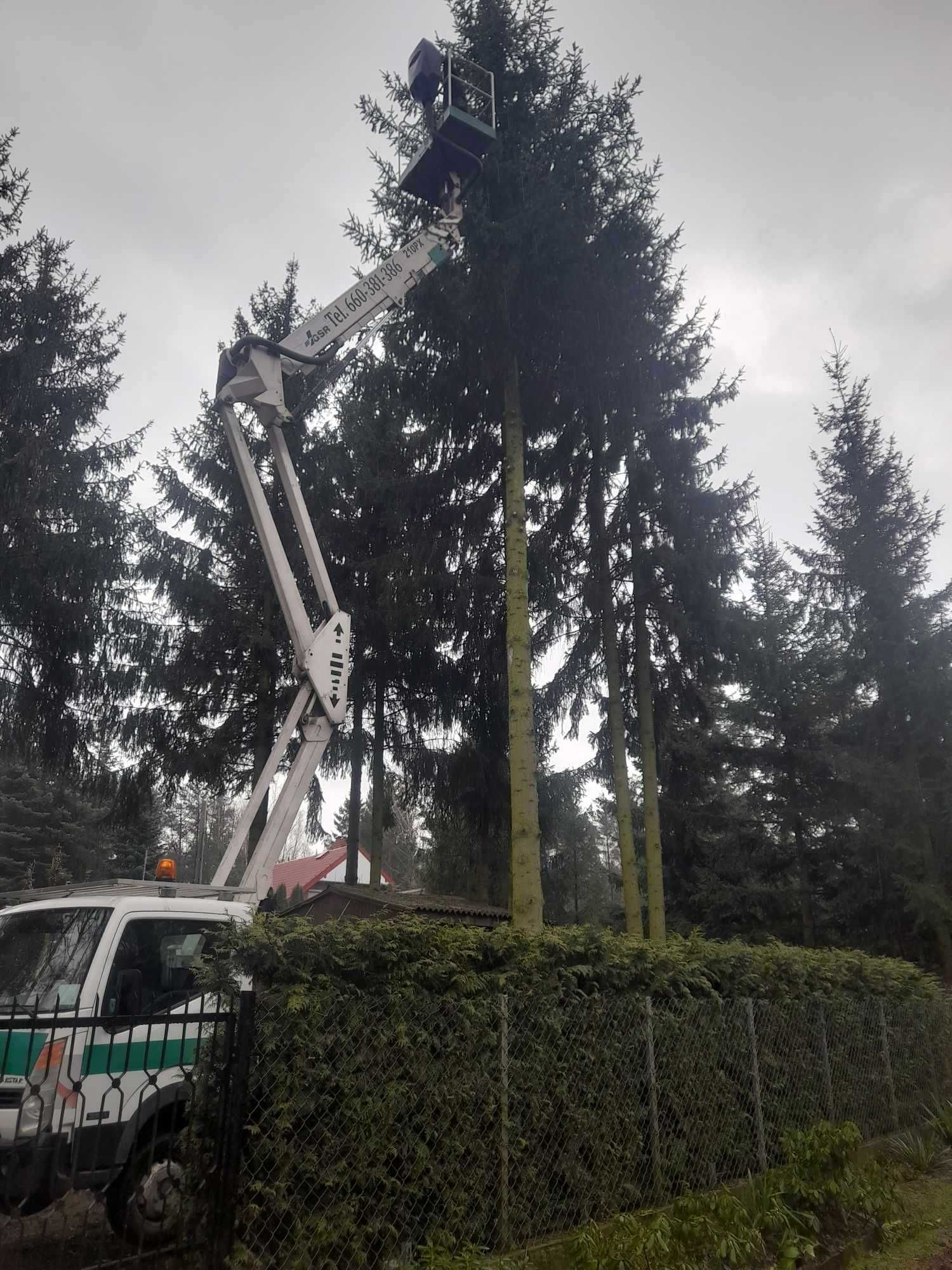 Wycinka Drzew Porządkowanie działek i ogrodów  Podnośnik koszowy