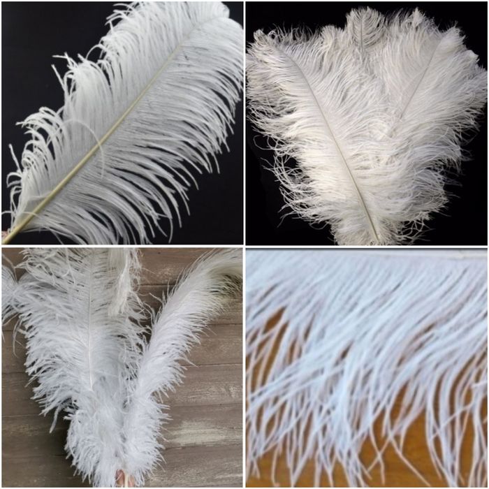 Перо страуса белое натуральное
