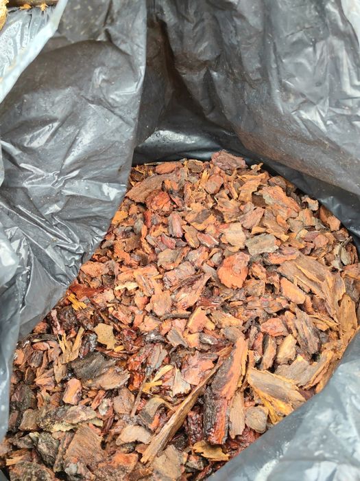 Casca de Pinheiro ( decoração jardim)