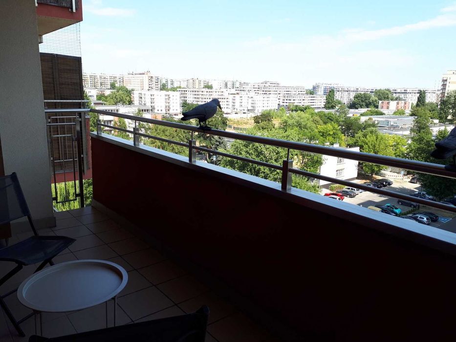 Kawalerka na 2 Pułku Lotniczego,Chyżyny