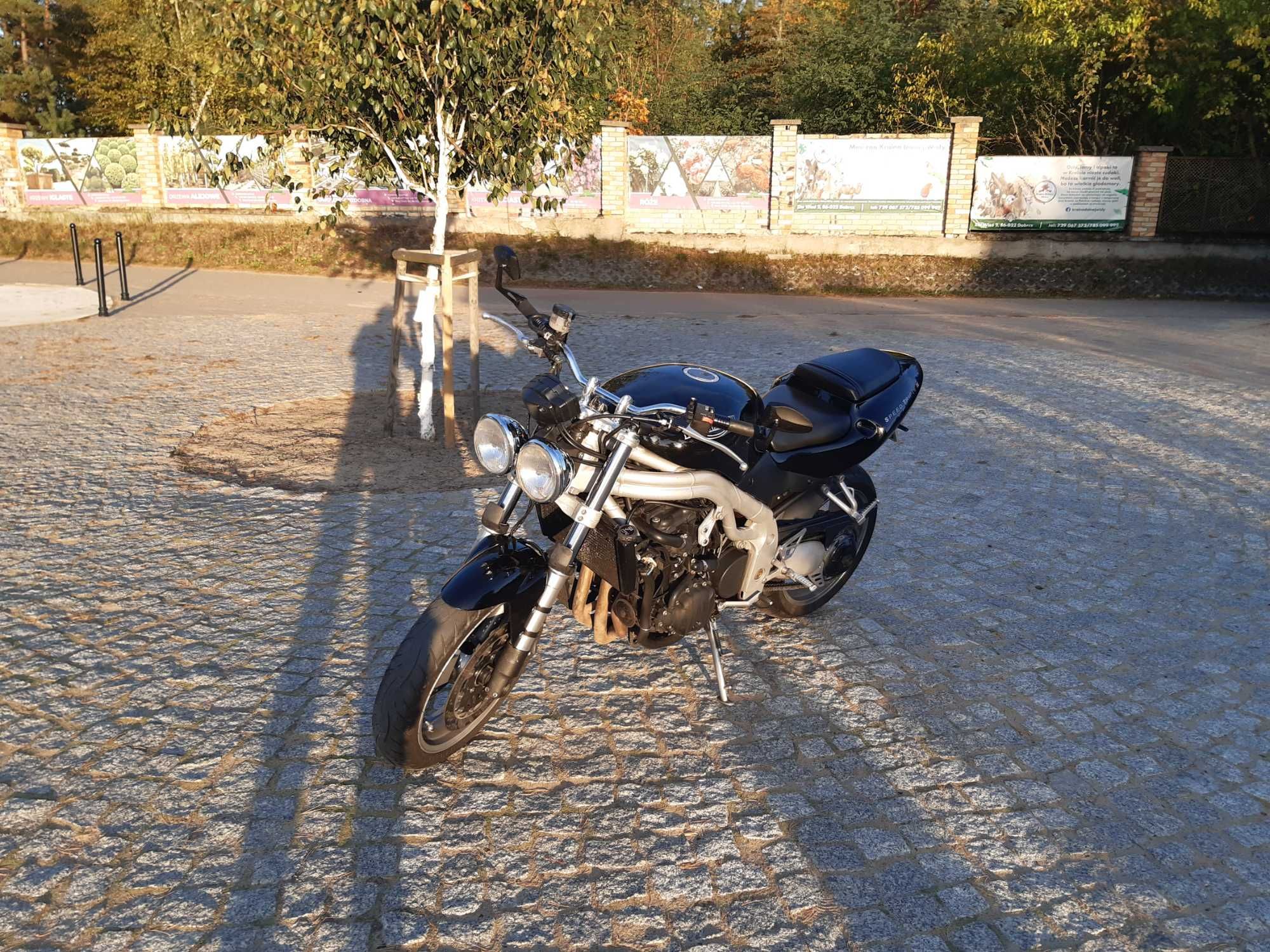 Triumph Speed Triple 955i 2002r